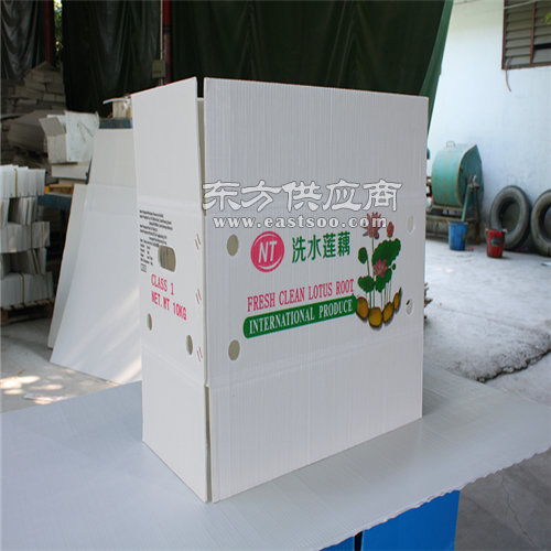 飞燕塑胶制品 钙塑蔬菜箱厂家 北京钙塑蔬菜箱图片